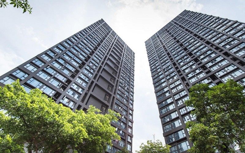 CHINA Sunshine Opto-electronics Enterprise Co.,ltd Perfil de la compañía