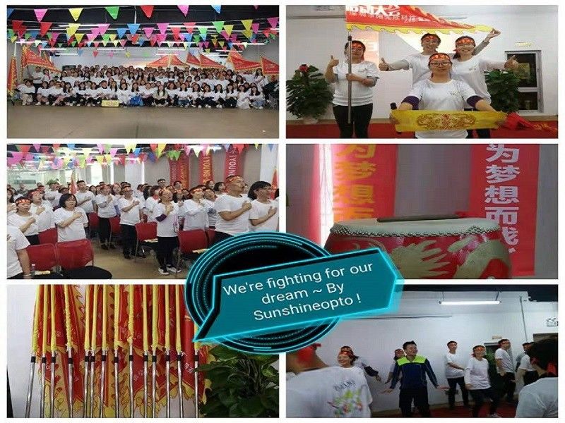 CHINA Sunshine Opto-electronics Enterprise Co.,ltd Perfil de la compañía