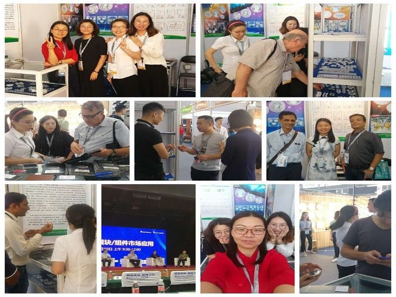 CHINA Sunshine Opto-electronics Enterprise Co.,ltd Perfil de la compañía