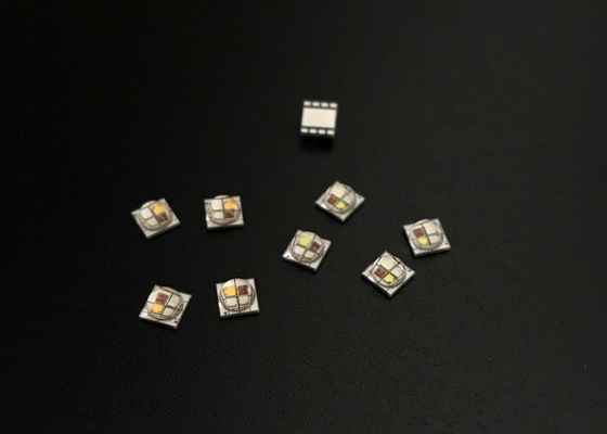 el poder más elevado Rgb del microprocesador 615-635NM de 6000-10000K 15W RGBW 5050 SMD LED llevó